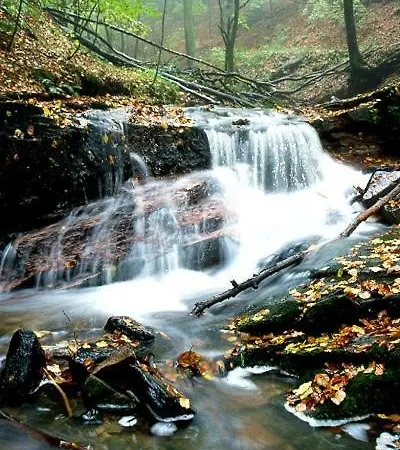 Rhoener Mit Viel Flair Gersfeld