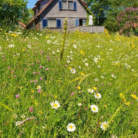 Rhoener Mit Viel Flair Gersfeld