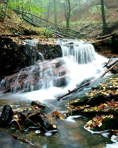 Rhoener Mit Viel Flair Герсфельд