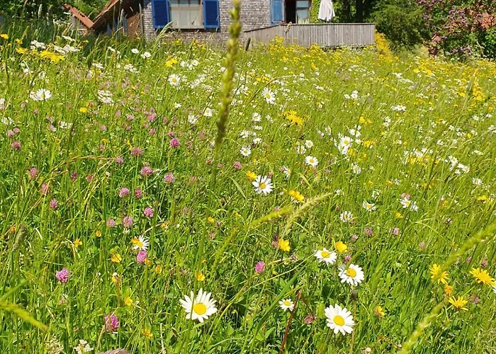 Rhoener Mit Viel Flair Герсфельд